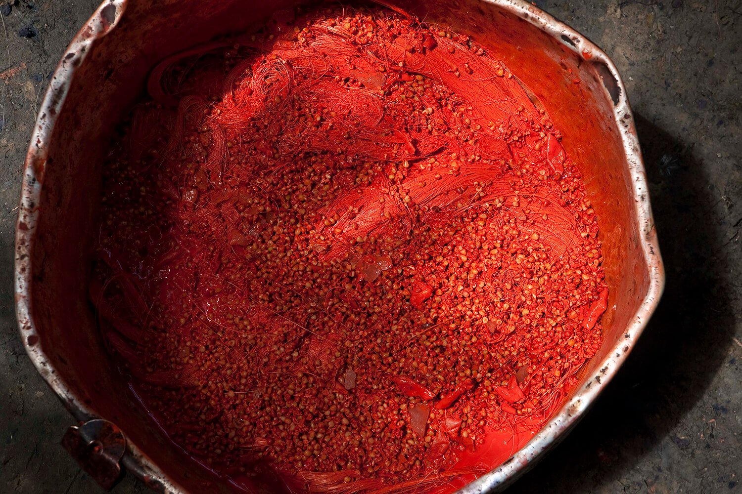 ACHIOTE 9_galeria_MG_6011.jpg
